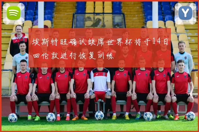 埃斯特旺确认缺席世界杯将于14日回伦敦进行恢复训练