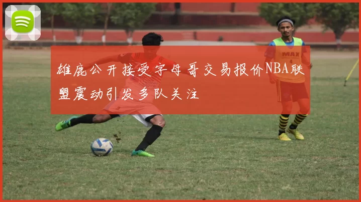 雄鹿公开接受字母哥交易报价NBA联盟震动引发多队关注
